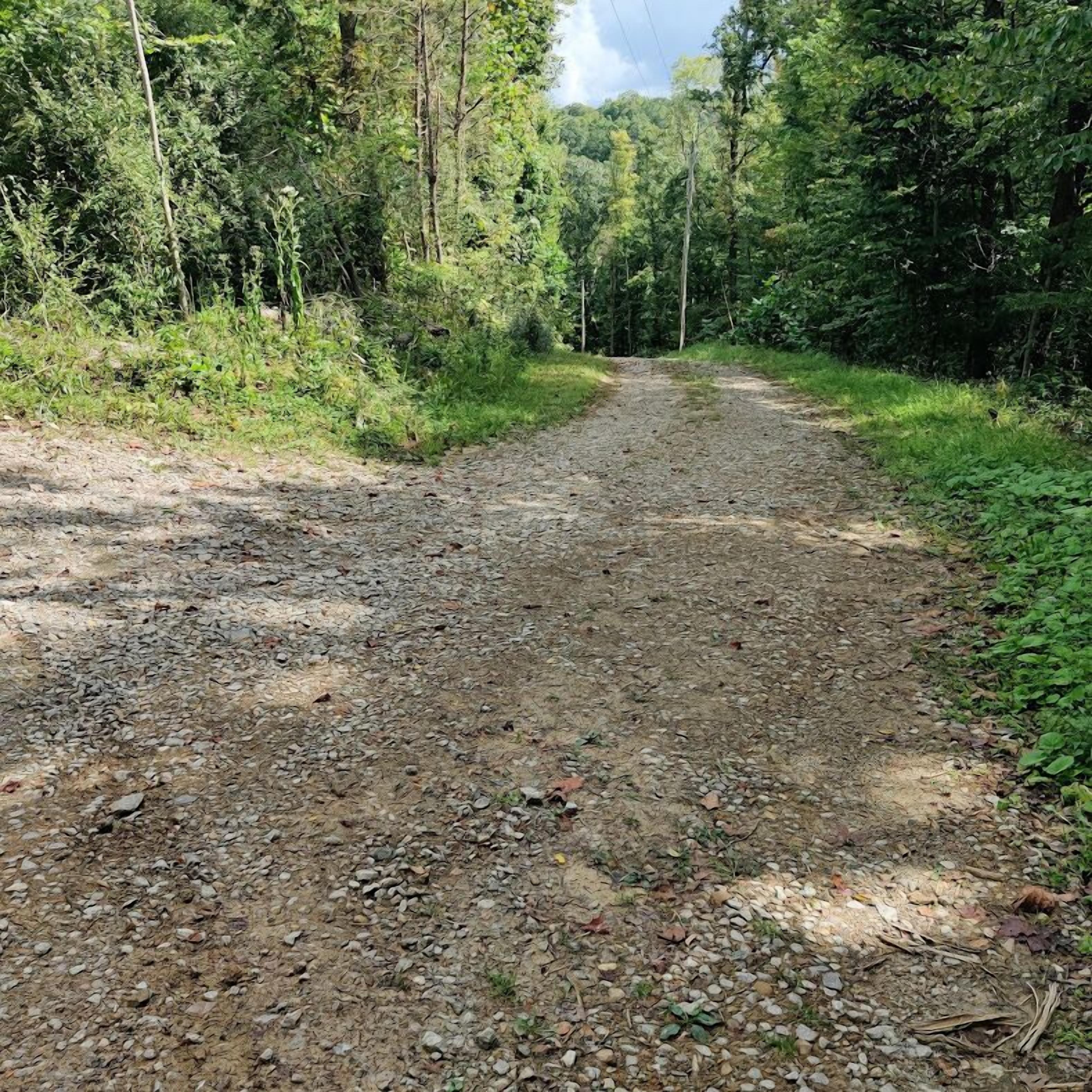 Un sendero de grava rodeado de vegetación exuberante y árboles.