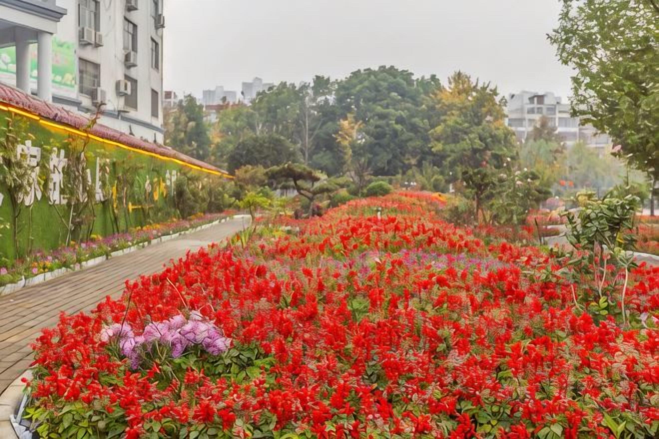 Un sentier bordé de fleurs rouges, un mur végétal recouvert de plantes grimpantes et des arbres en arrière-plan.