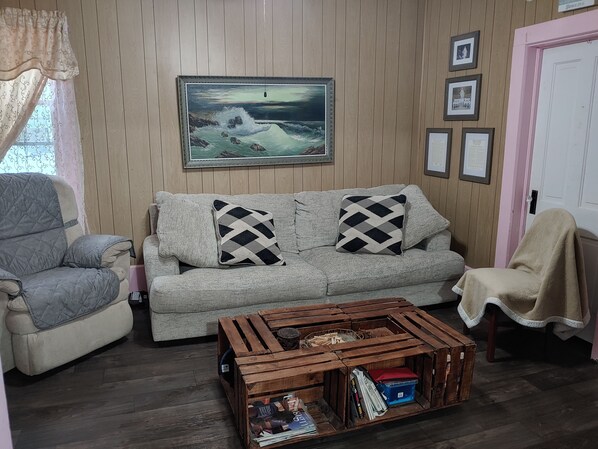 TV, DVD player, books, music library