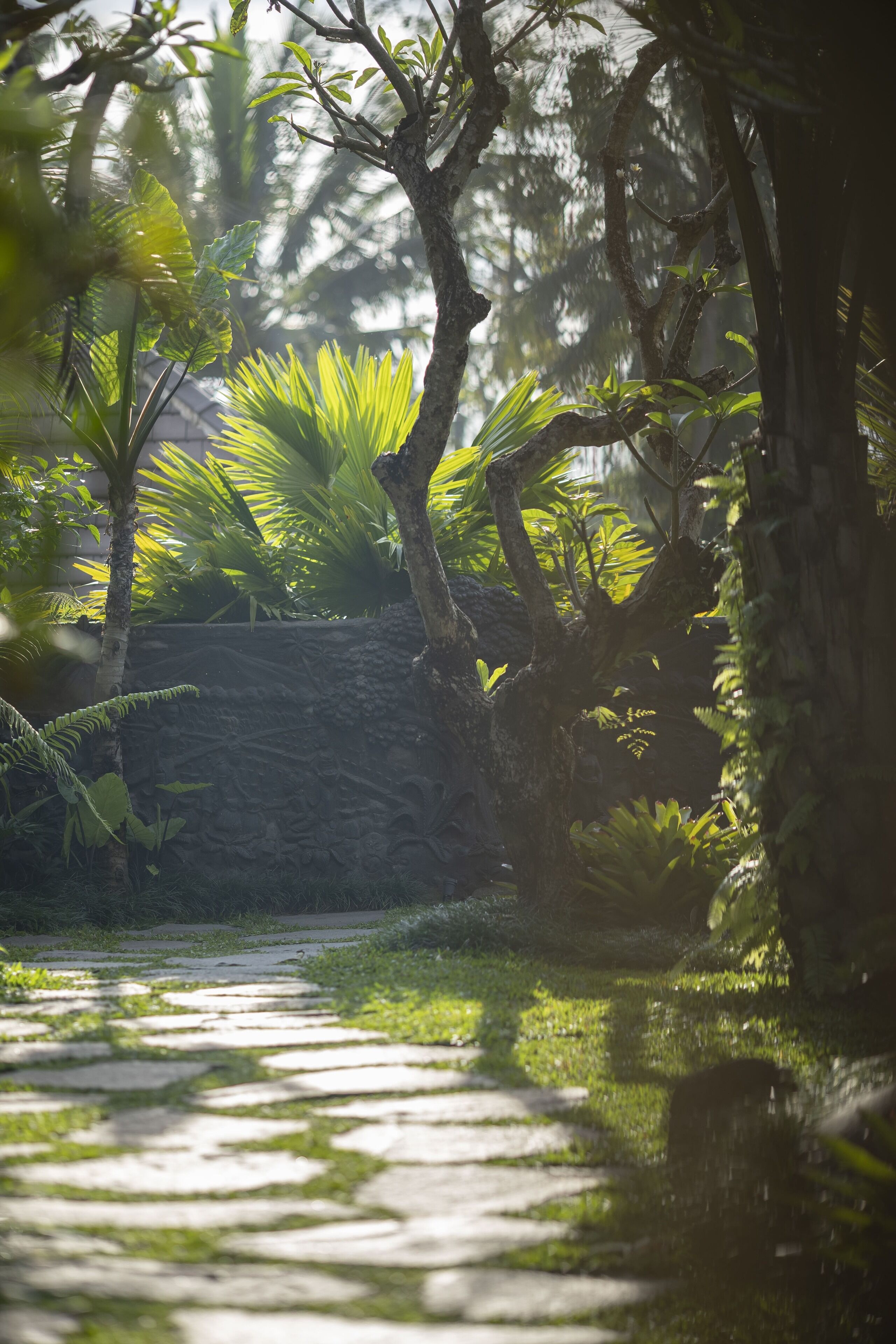 A pathway through a lush garden with stone walls and dense foliage.