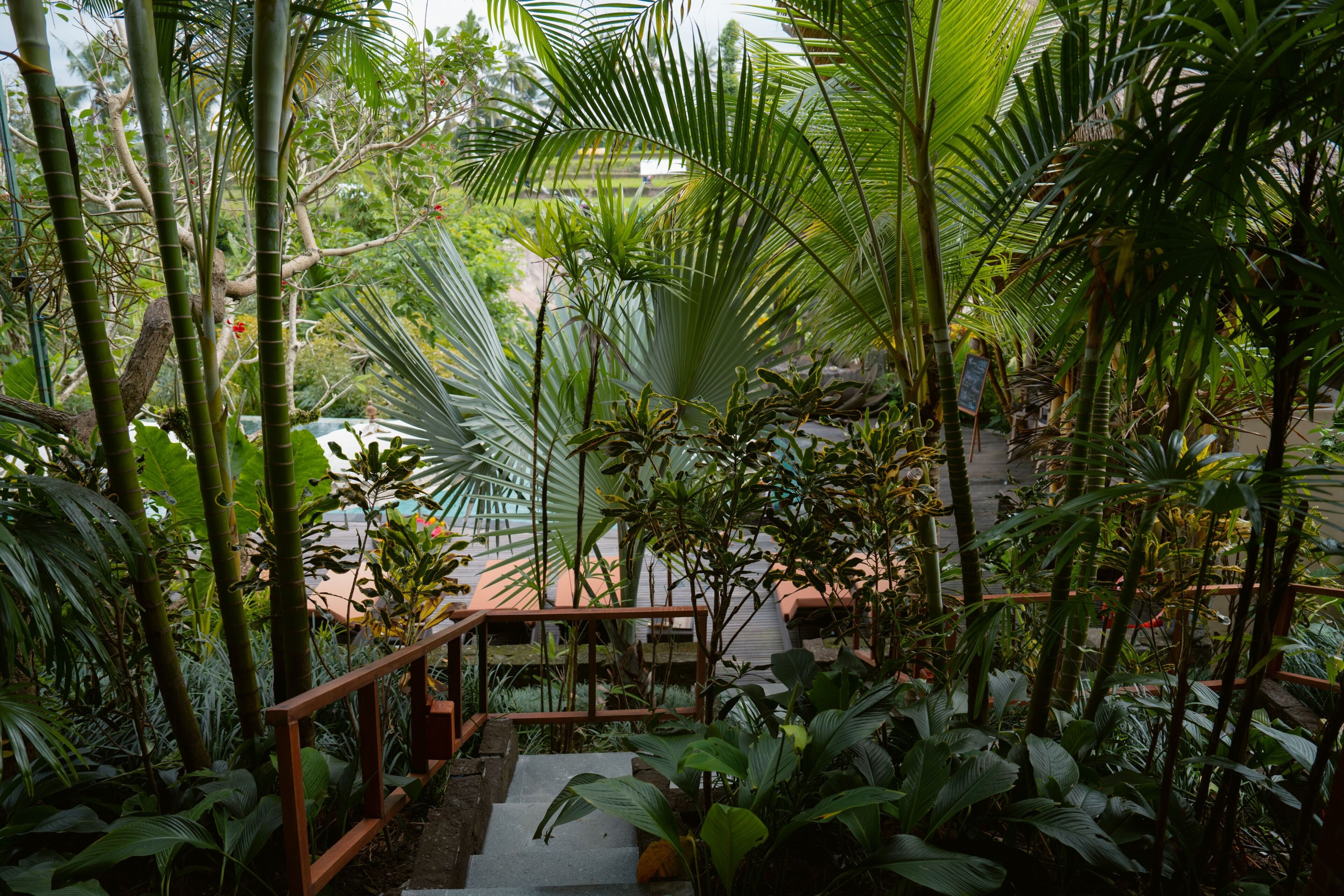 A lush indoor garden with a wooden staircase surrounded by various tropical plants and a glass railing.