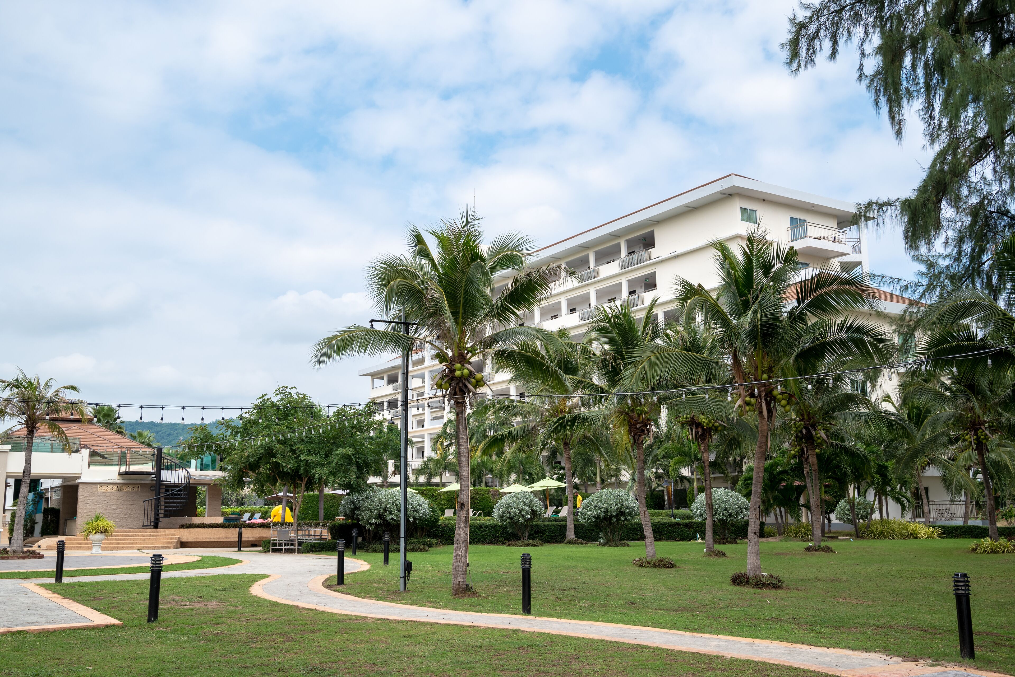 outdoor wedding area