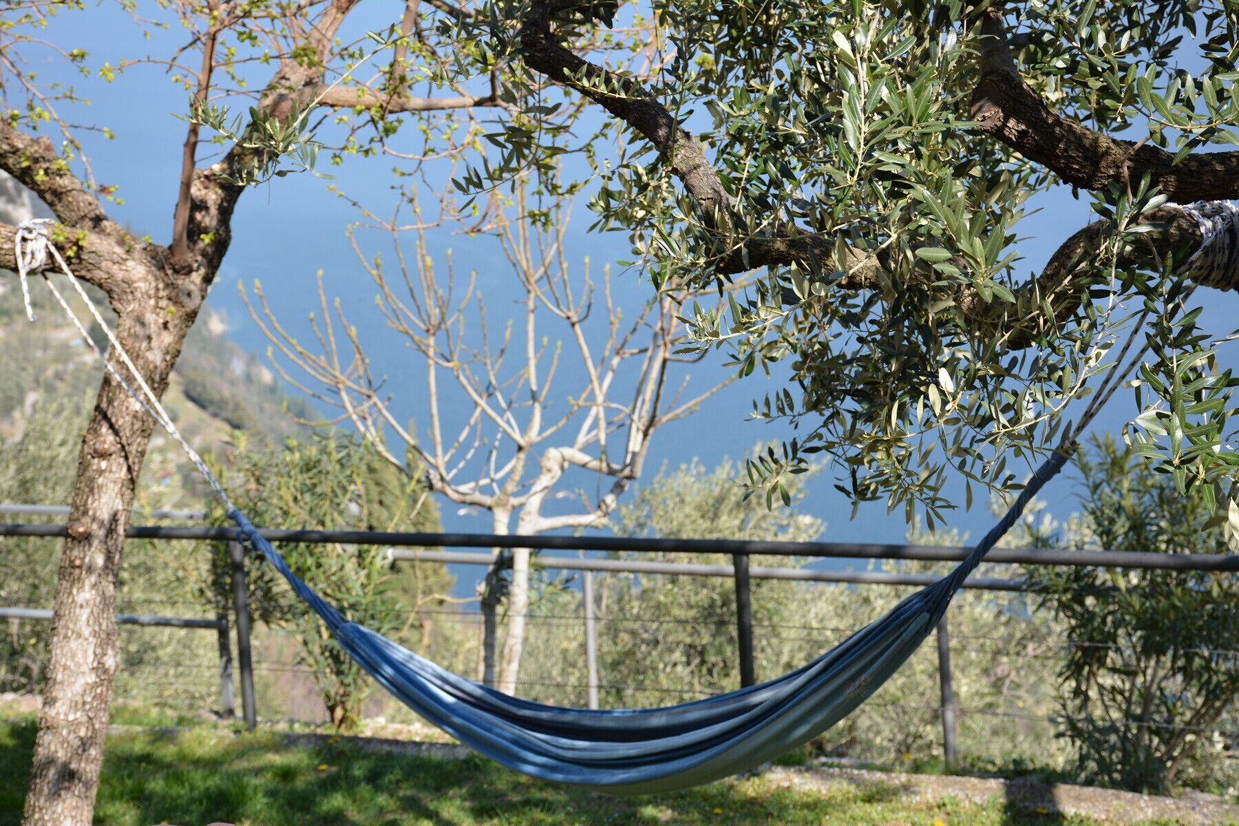 A hammock tied between two trees in a fenced outdoor area with a clear view of the surrounding landscape.