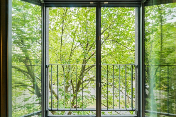 Ausblick vom Zimmer