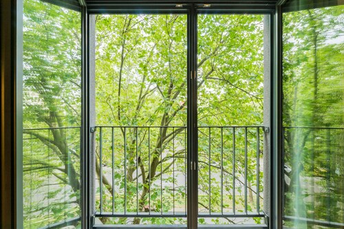 Homaris Kreuzberg 61