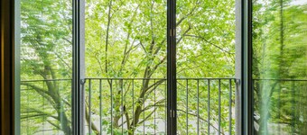 Homaris Kreuzberg 61