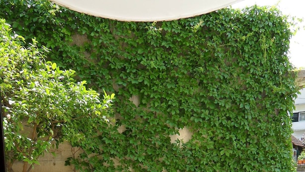 A balcony with a round table and four white chairs, surrounded by a metal railing. - Guest House Lidus (Gradac)