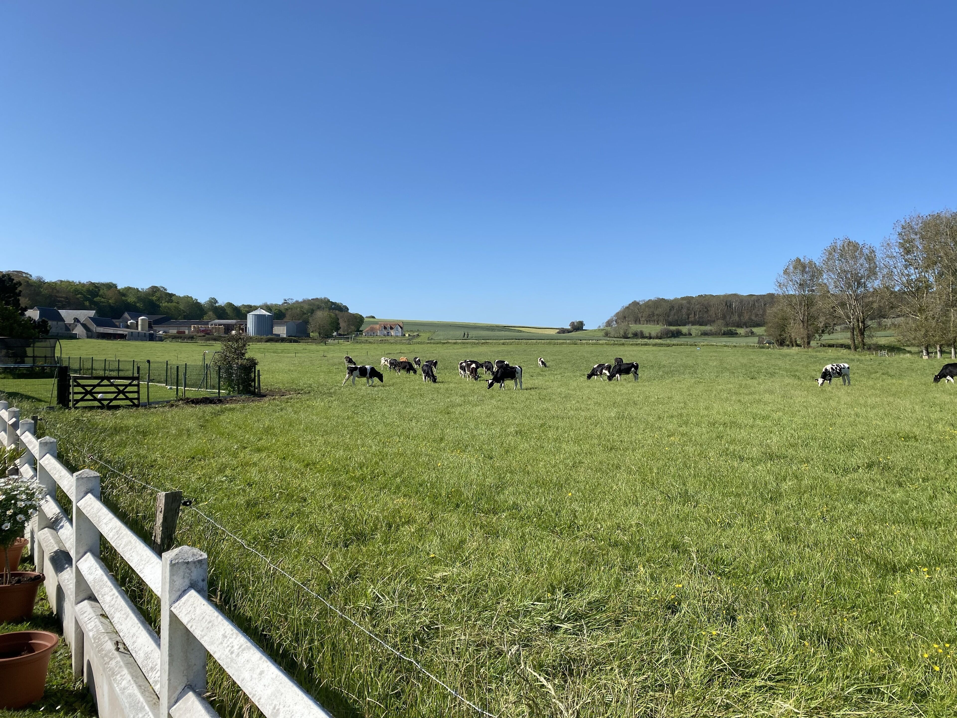 บริเวณภายนอก