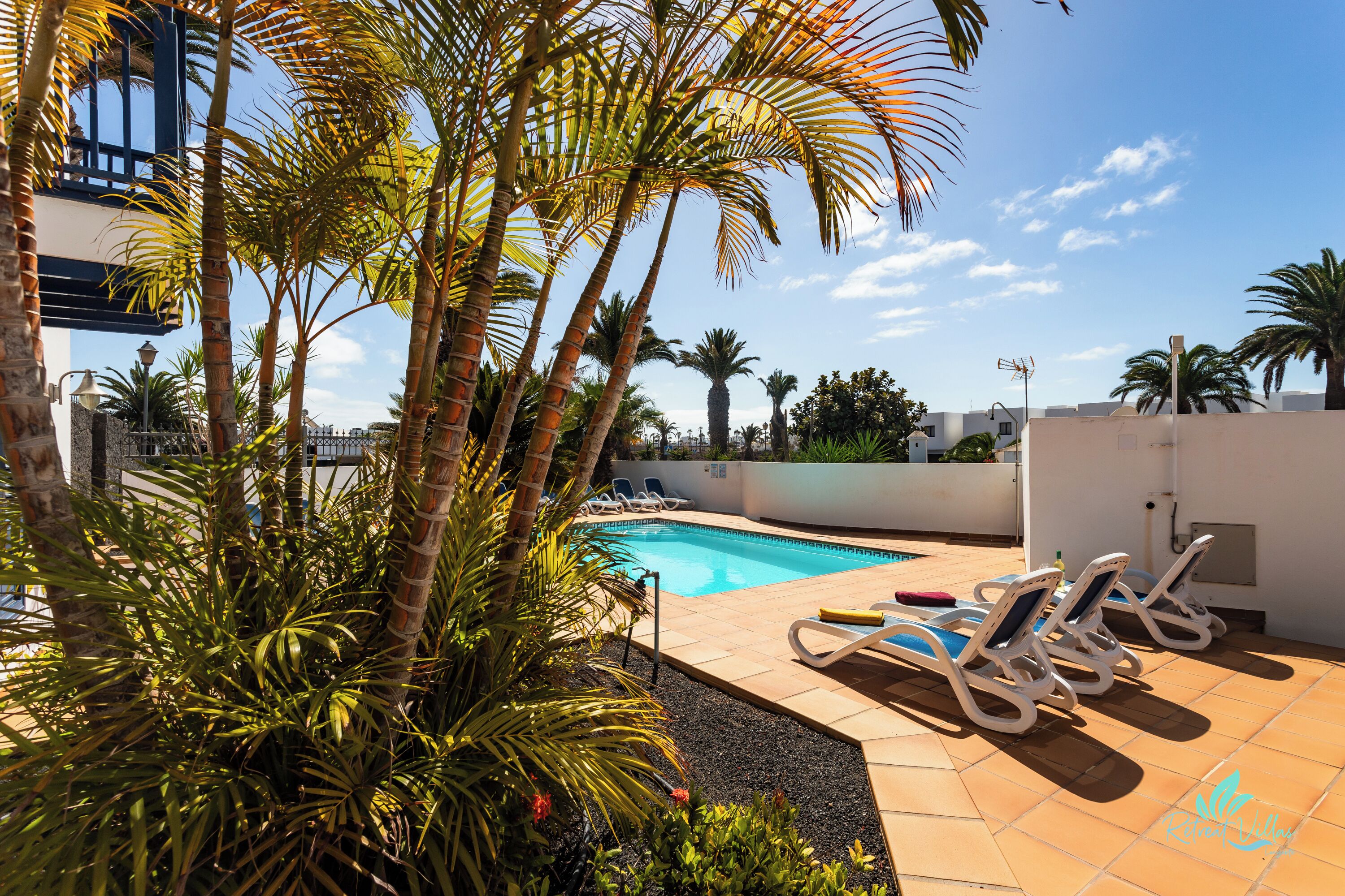 Un espace piscine aménagé sur le toit, avec des chaises longues et des palmiers.