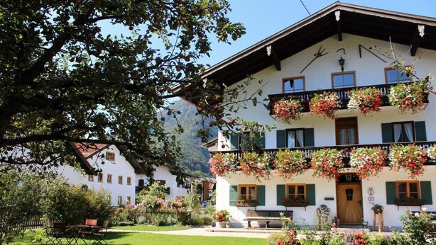 En traditionel schweizisk chalet med balkon pyntet med blomster, en have med bænk og et bjerg i baggrunden.