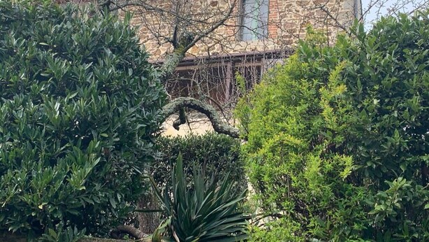 Un edificio de piedra con techo de tejas, rodeado de abundante vegetación.