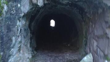 A tunnel entrance with rocky walls and a narrow path leading into darkness.