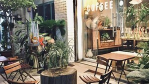 An outdoor seating area with wooden tables and chairs, surrounded by potted plants. - Nha Saigon (Ho Chi Minh City)