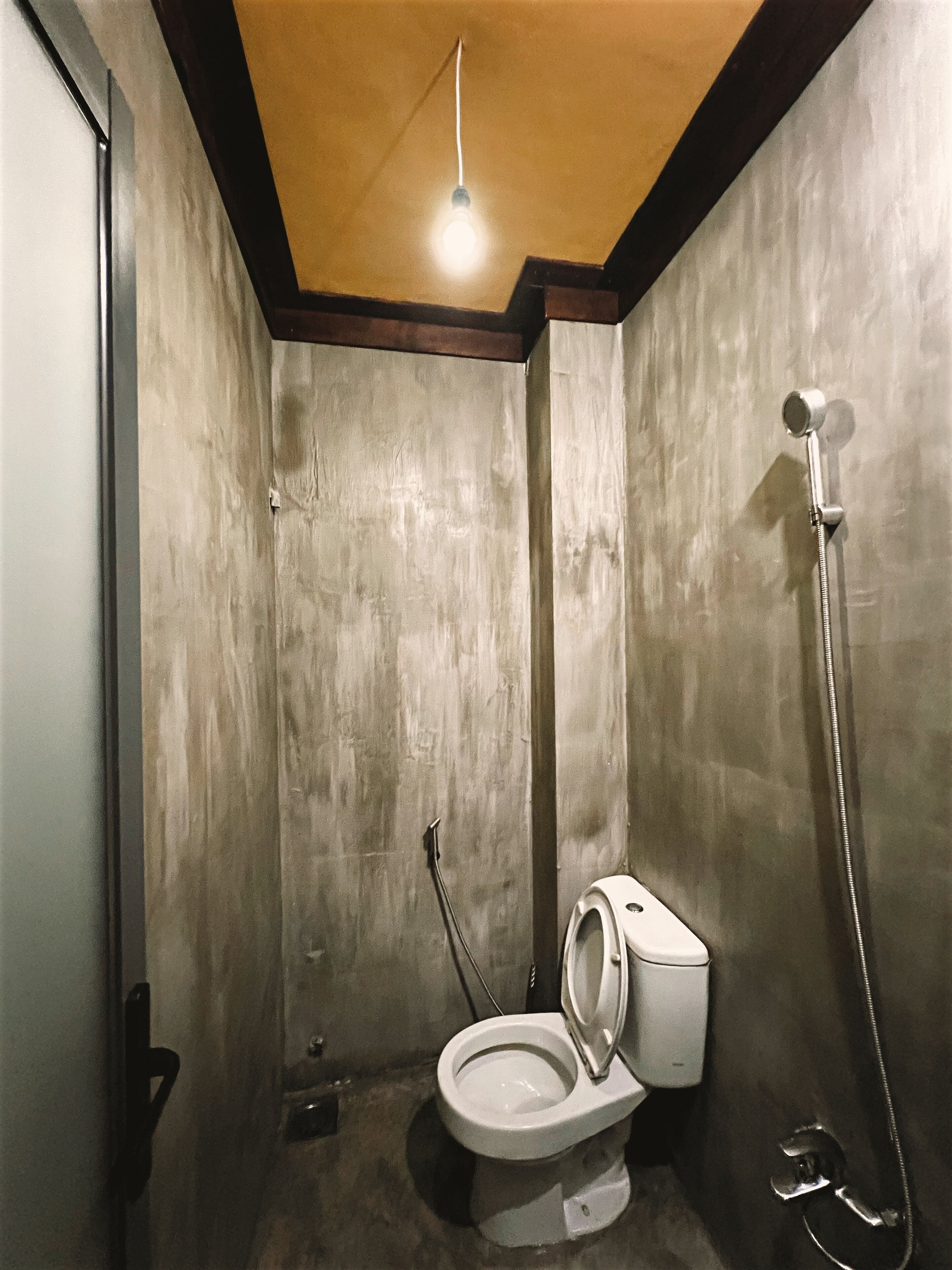 A small, compact bathroom with a wooden ceiling, a toilet, and a shower.