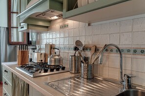 Fridge, microwave, oven, stovetop - Amazing rustic one bedroom apartament (Toscana)