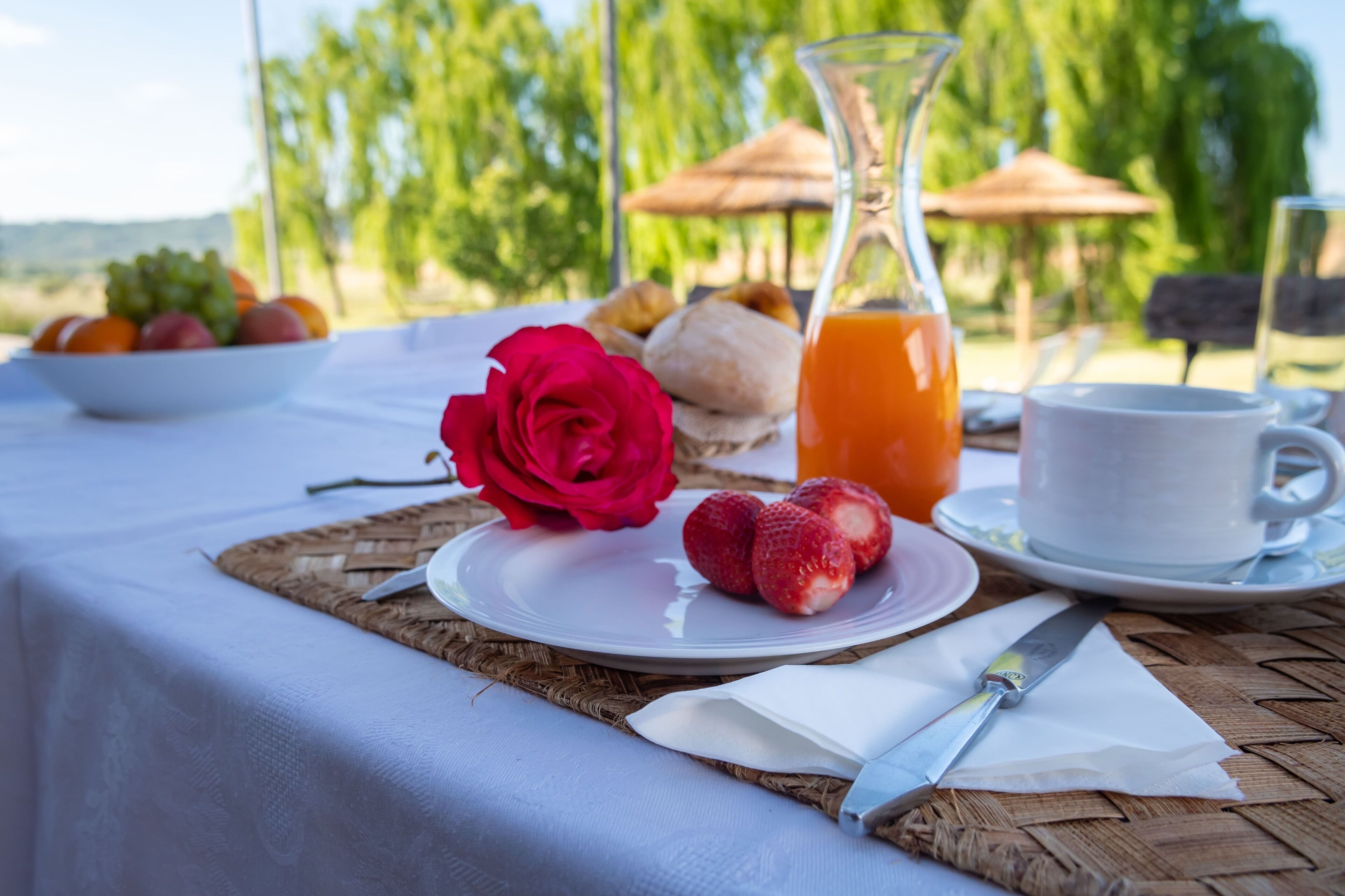 A table set outdoors with a white tablecloth, a plate with strawberries and a red rose, a glass pitcher of orange juice, a white cup, and a wicker placemat.