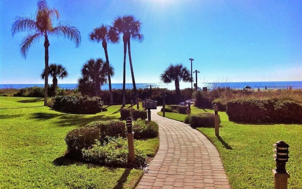 A paved pathway leading to a beach area with palm trees and a clear view of the ocean.