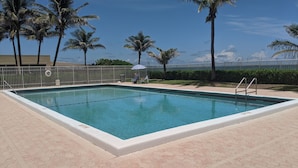 A rectangular swimming pool with a white border, surrounded by a paved area with hexagonal tiles. There are palm trees and a fence in the background. - Welcome to Paradise! (Jensen Beach)