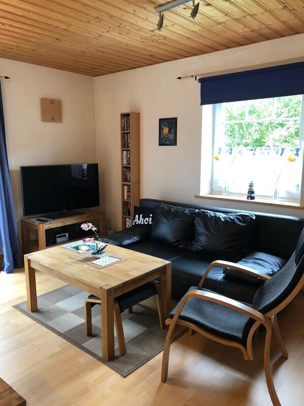 Smart TV, DVD player, books, video library