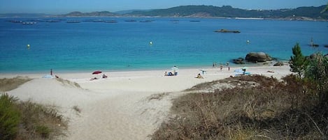 海滩