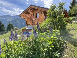 A wooden cabin with a sloped roof, surrounded by lush greenery and purple flowers.