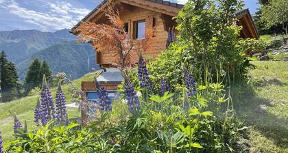 Chalet Belle Roche Recently Renovated Jacuzzi