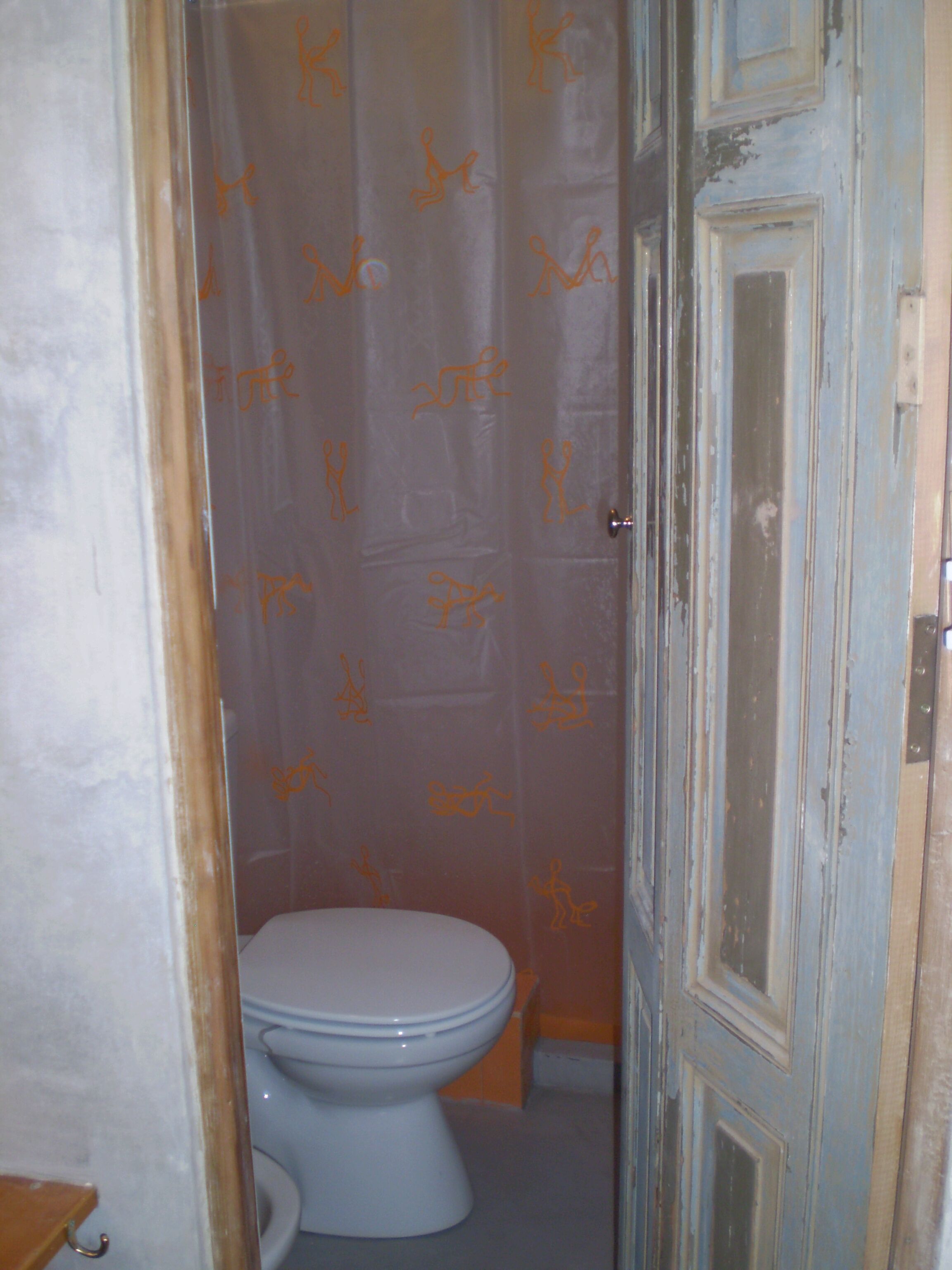 A bathroom with a toilet, a shower curtain with a pattern, and a door.