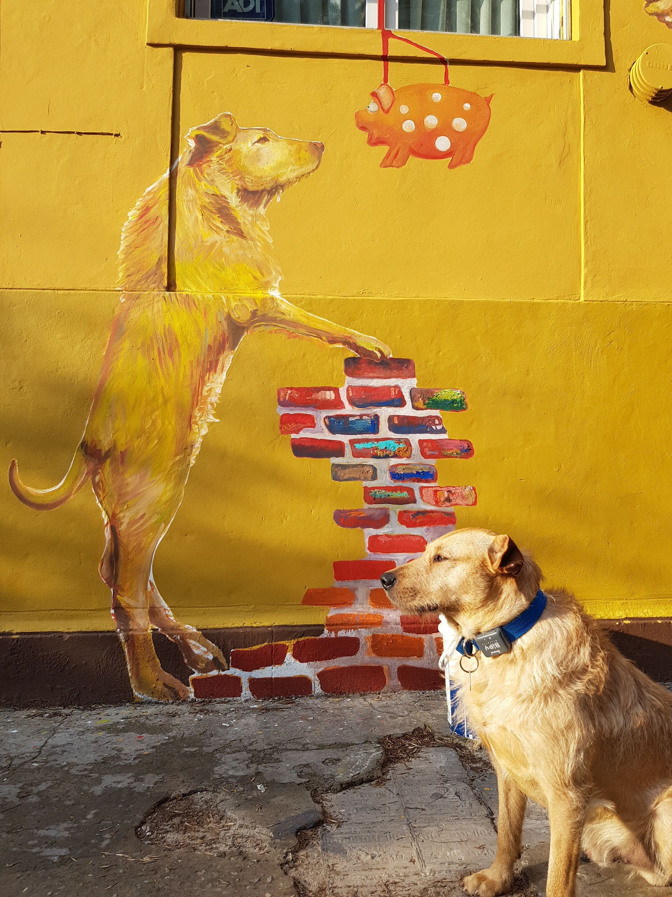 Foto - Palermo Viejo Bed & Breakfast