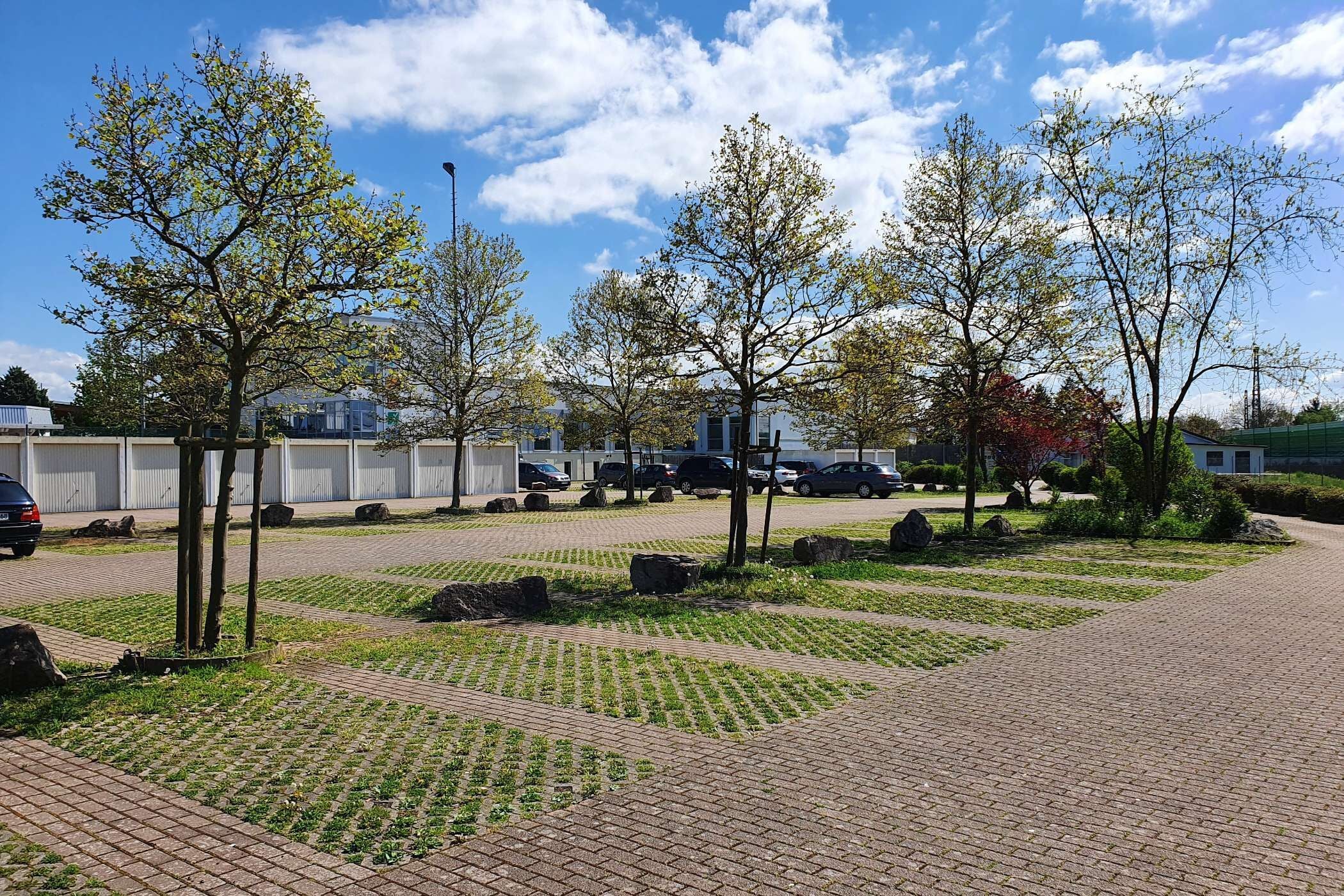 Un área de estacionamiento con árboles y un camino pavimentado.