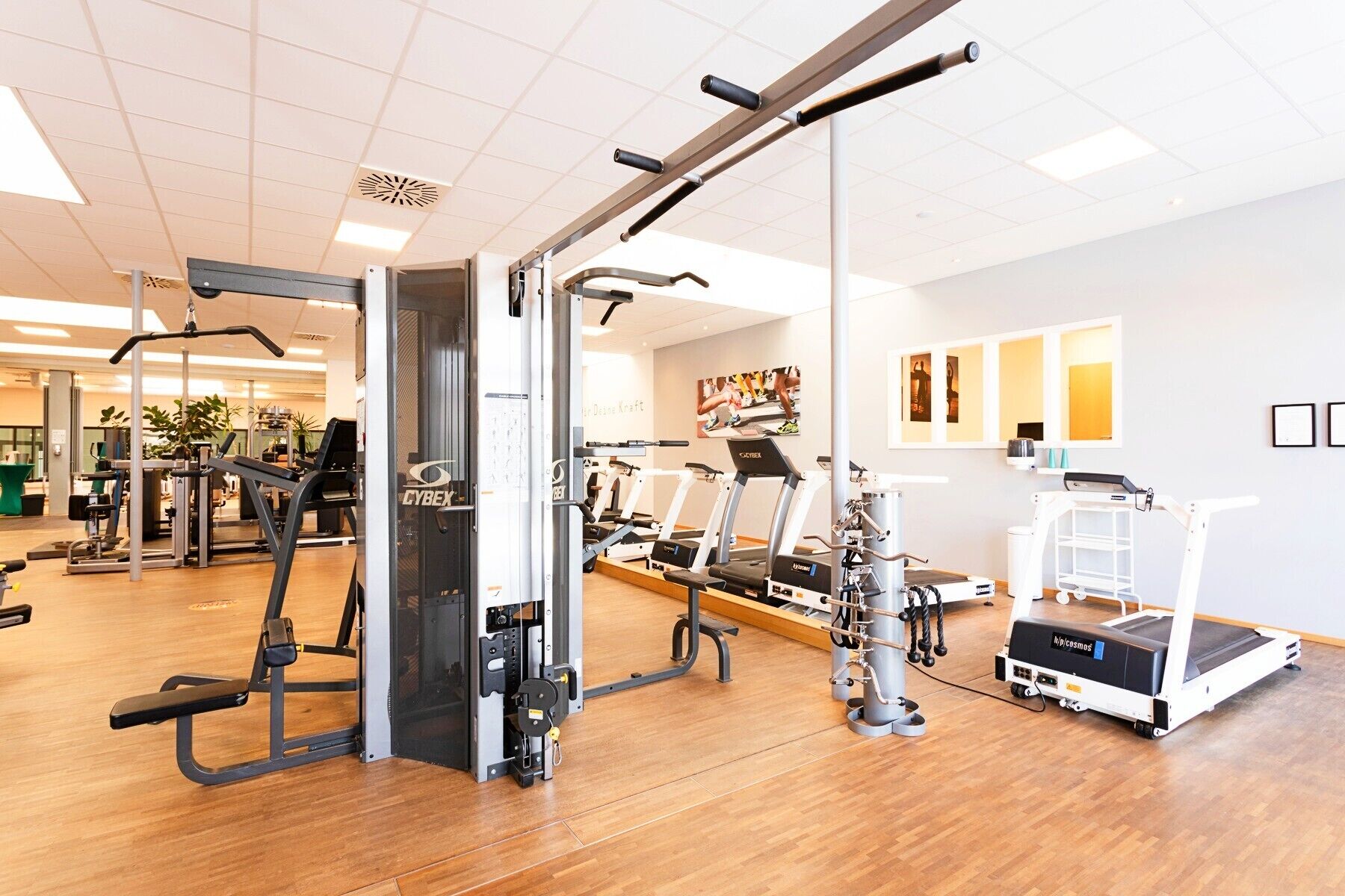 Ein Fitnessstudio mit Cardiogeräten, Gewichten und einer Spiegelwand.