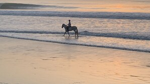 A person riding a horse on a beach at sunset. - Forest View Apartments (Serrekunda)
