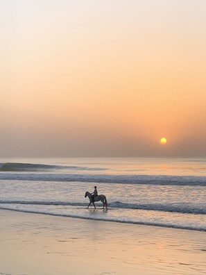 Horse riding
