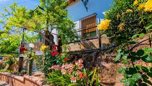Un jardín con diversas flores y un muro de piedra.