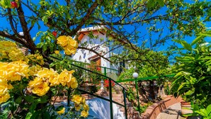 Un edificio blanco con techo rojo, rodeado de vegetación exuberante y flores amarillas.