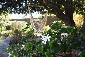 Relax in a serene garden setting with a hammock suspended between two trees, surrounded by lush green foliage and vibrant flowers.