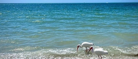 靠近海滩、沙滩毛巾