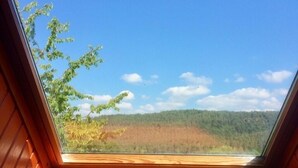 A skylight with a view of a forested landscape. - Ferienwohnung Albert, 2 Schlafzimmer, 90 Quadratmeter (Hauenstein)