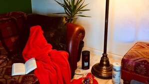 A cozy living room with a red blanket, a book, a glass of wine, a lamp, and a small plant. - Ferienwohnung Albert, 2 Schlafzimmer, 90 Quadratmeter (Hauenstein)