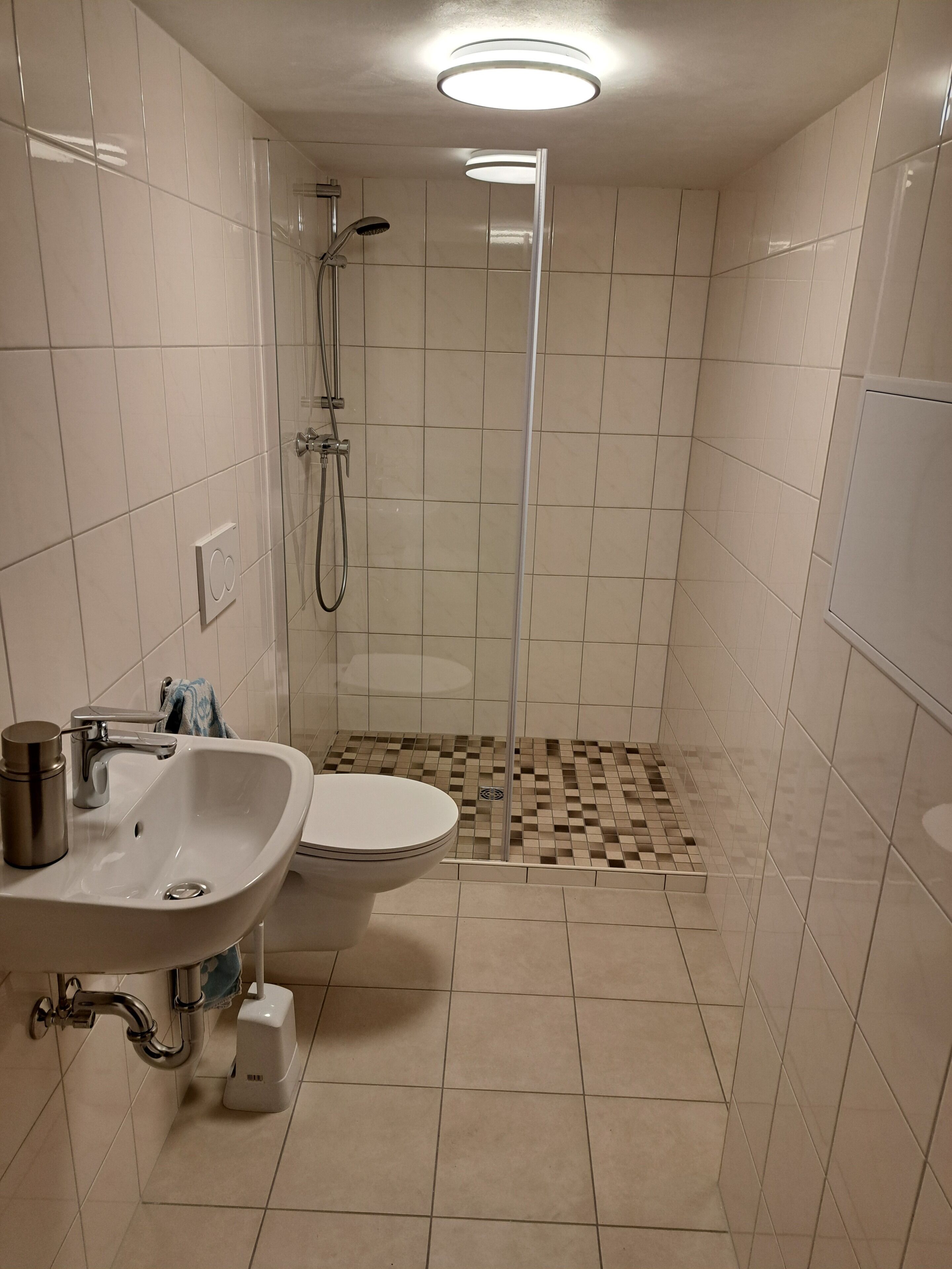 A modern bathroom with a shower, toilet, and sink.