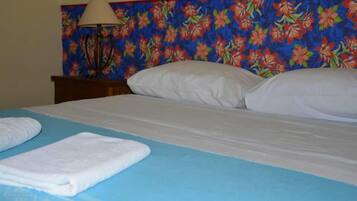 Basic Double Room | Minibar, free WiFi, bed sheets