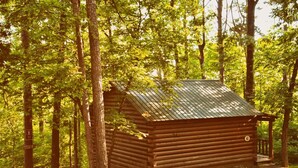 Un rustico cottage in legno con tetto metallico, immerso in una fitta foresta.