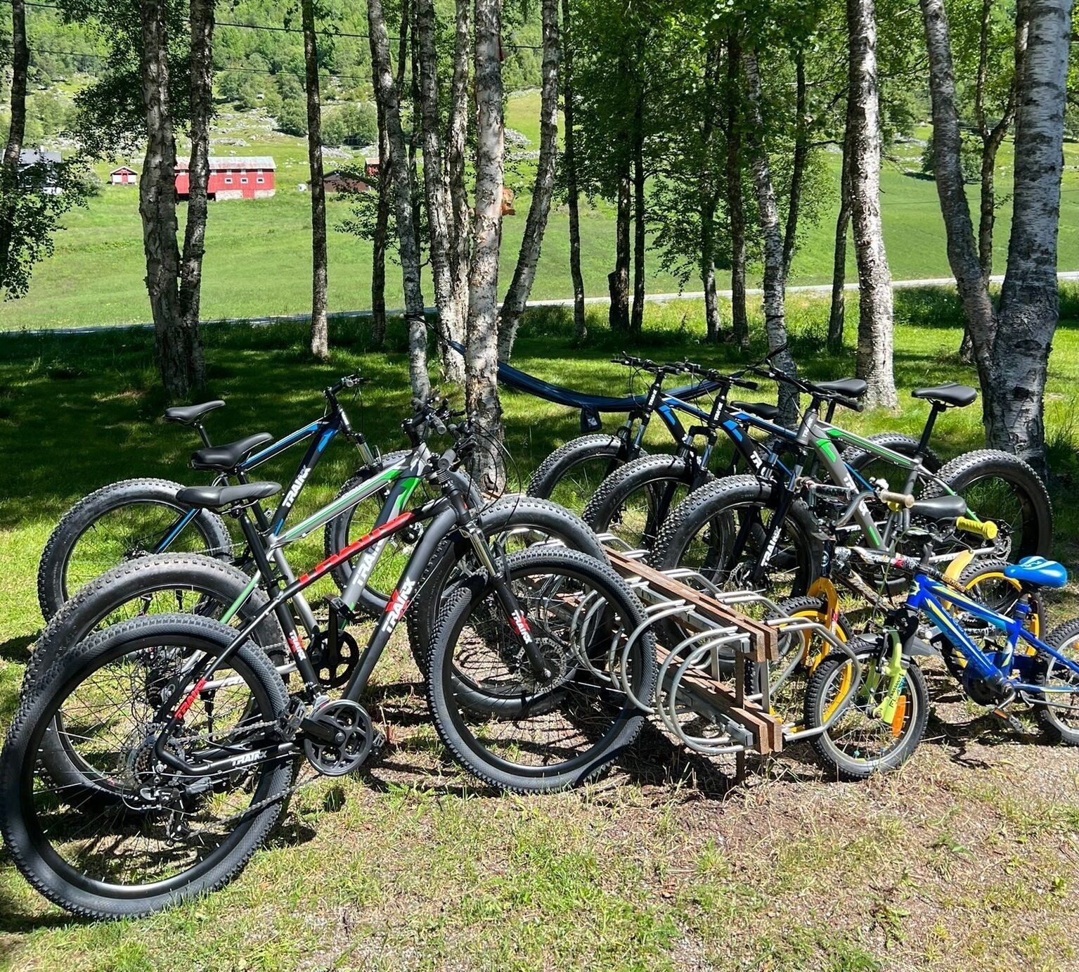 Una hilera de bicicletas estacionadas sobre césped, con árboles al fondo.