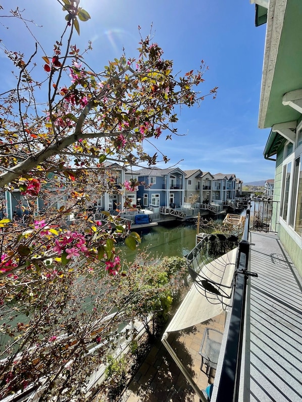 A canal view with a row of townhouses, a boat docked on the water, and a tree with pink flowers in the foreground.