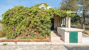 A building partially covered by a vine-covered wall, with a small porch and a green door. - Countryside House With Pool - Vila Šore (Dugobabe)