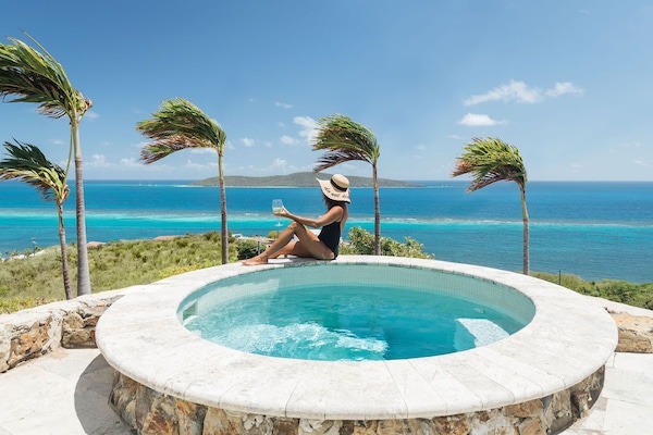 Salt water plunge pool with interior bench