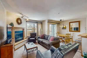 TV, fireplace, DVD player