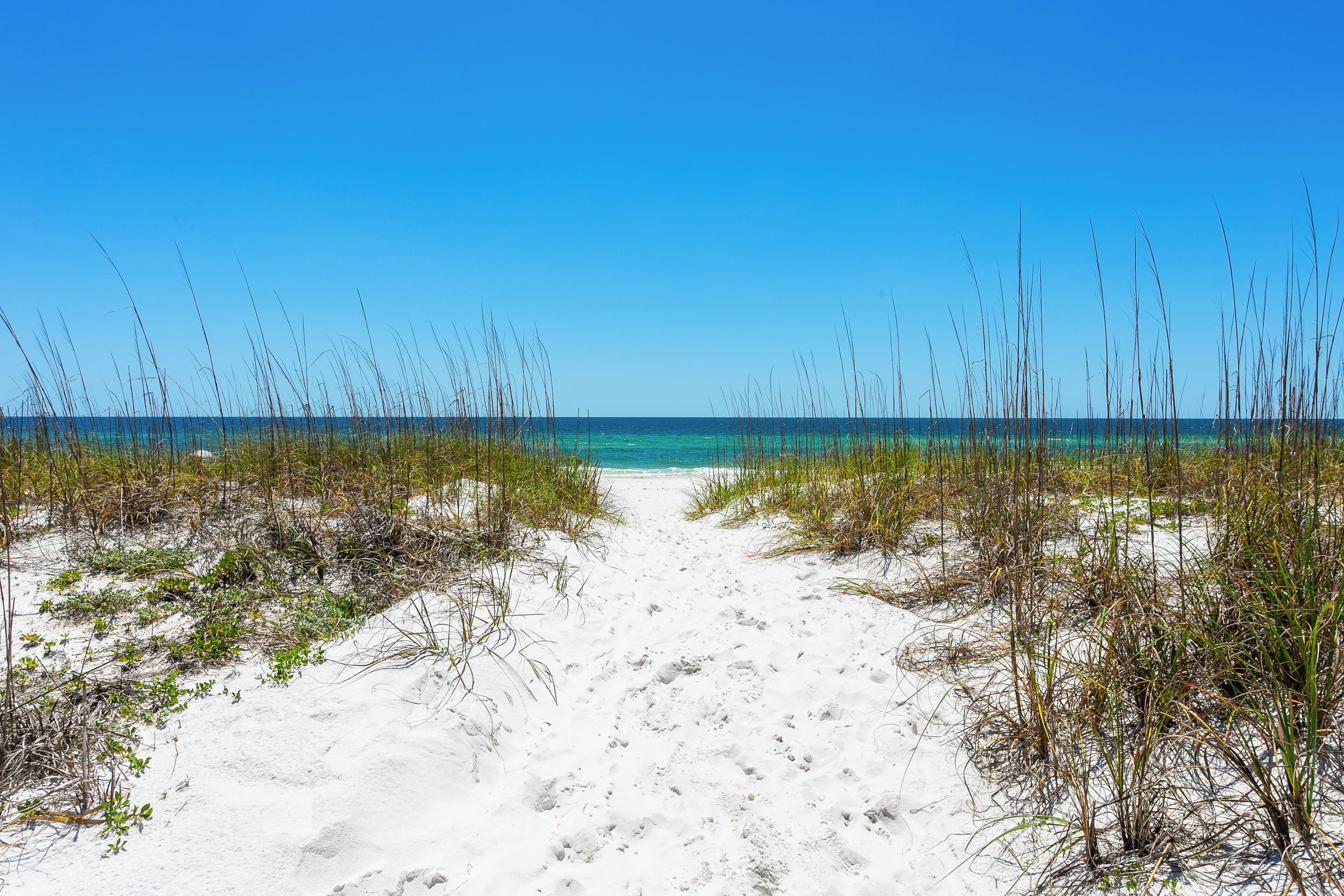 A sandy beach path leading to the ocean with sparse vegetation.