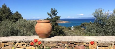 Vista desde la propiedad