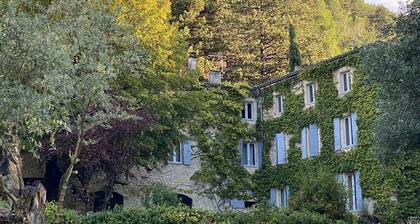 Magnifique Magnanerie du 19eme