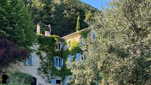 Une piscine bordée de chaises longues, un bâtiment en pierre aux volets bleus et une végétation luxuriante.